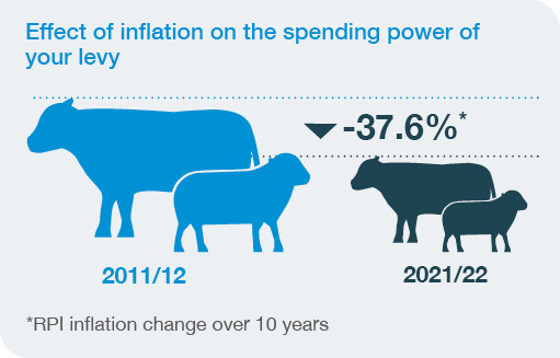 Effect of inflation on spending power of the levy over 10 years